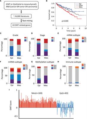 Deep Learning–Based Classification of Epithelial–Mesenchymal Transition for Predicting Response to Therapy in Clear Cell Renal Cell Carcinoma